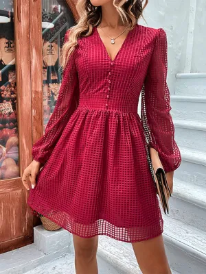Hollow Grid A-Line Dress with Sheer Sleeves and Button Front