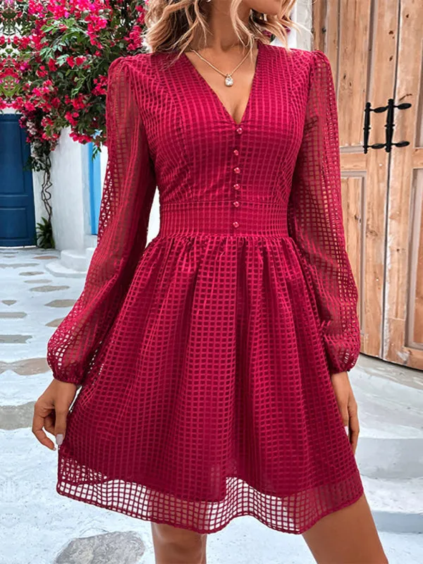 Hollow Grid A-Line Dress with Sheer Sleeves and Button Front