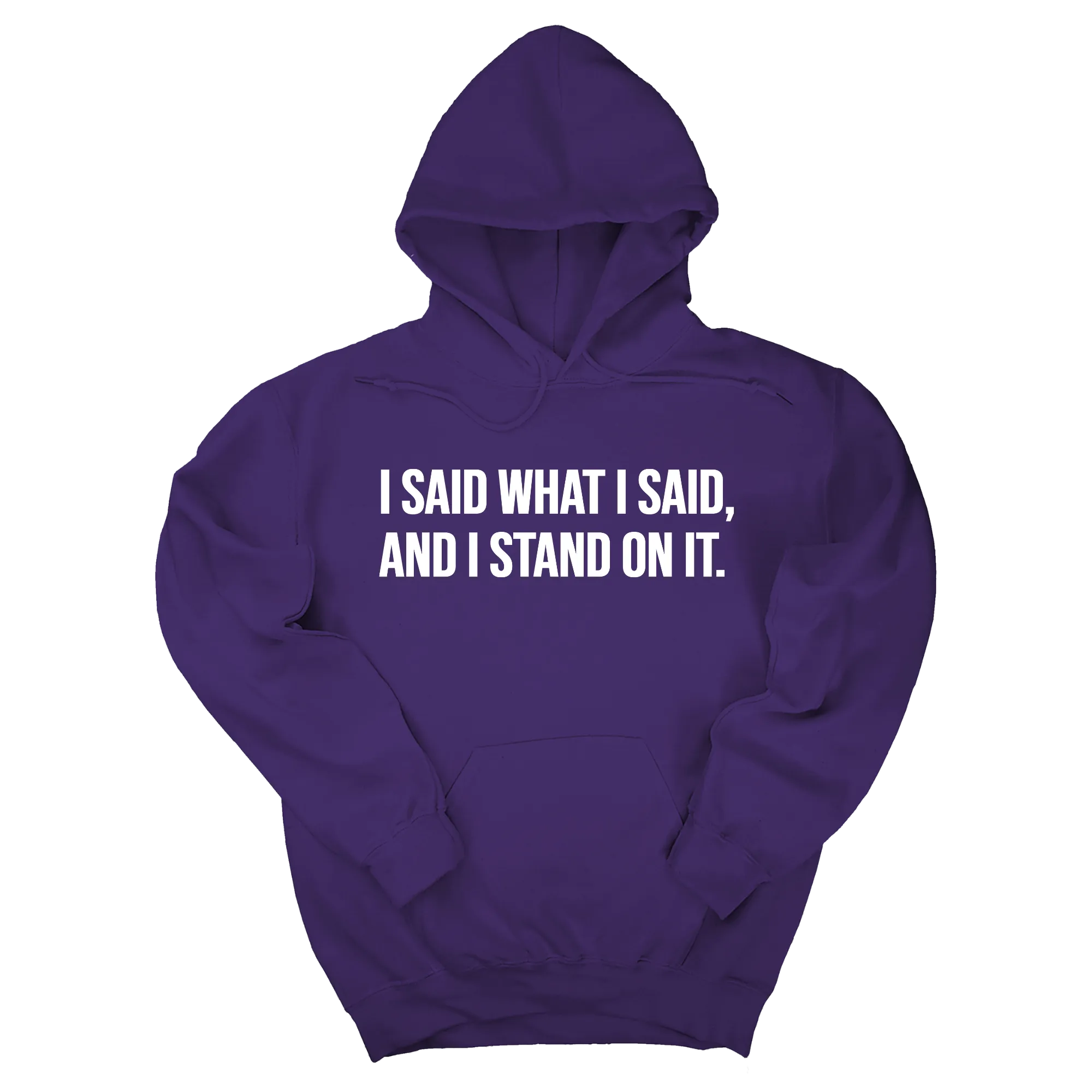 I Said What I Said and I Stand on It Unisex Hoodie