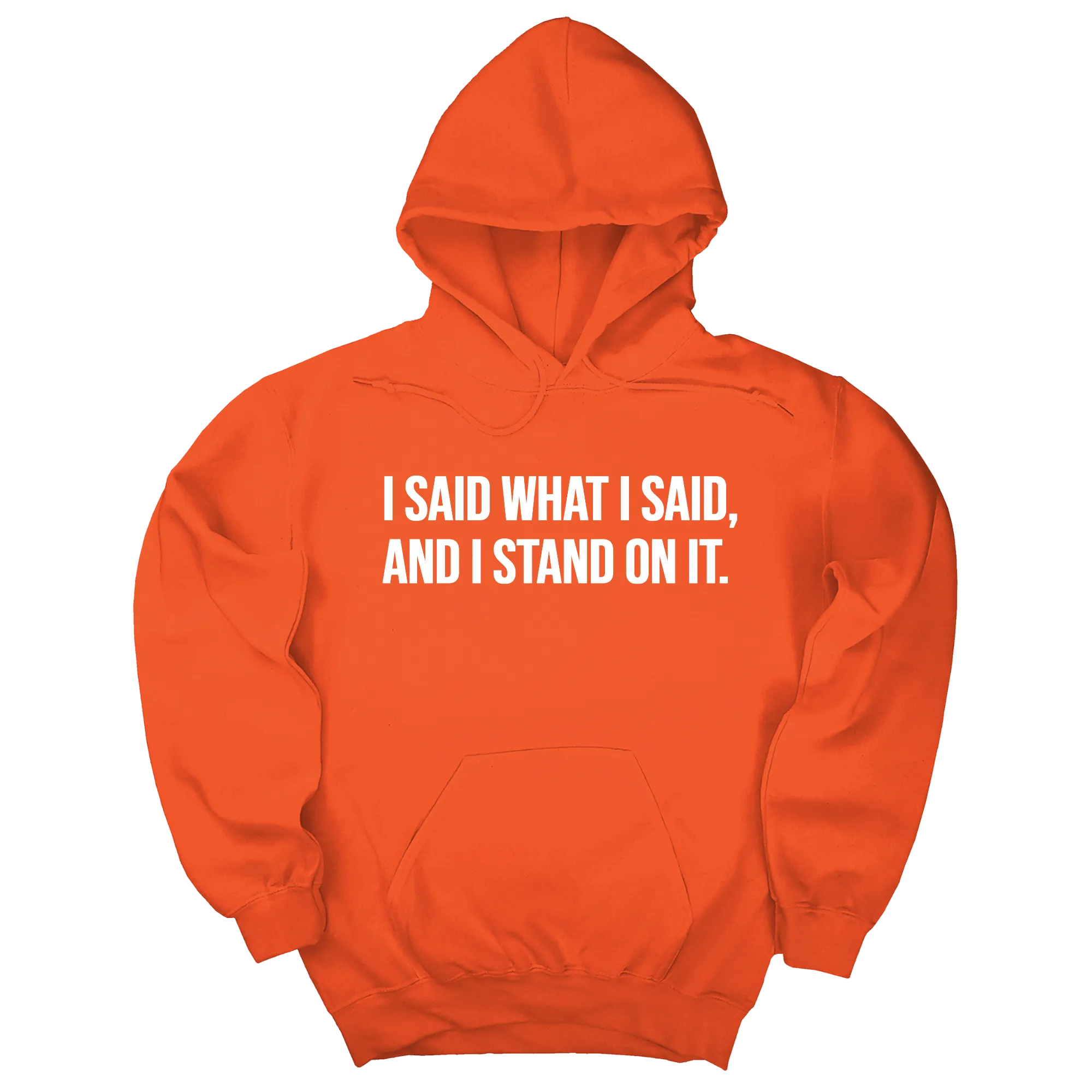 I Said What I Said and I Stand on It Unisex Hoodie