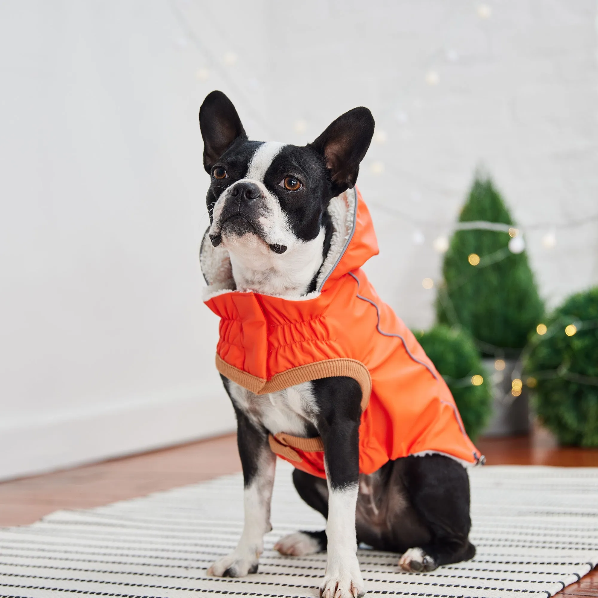 Insulated Raincoat w/ Popcorn Sherpa - Orange