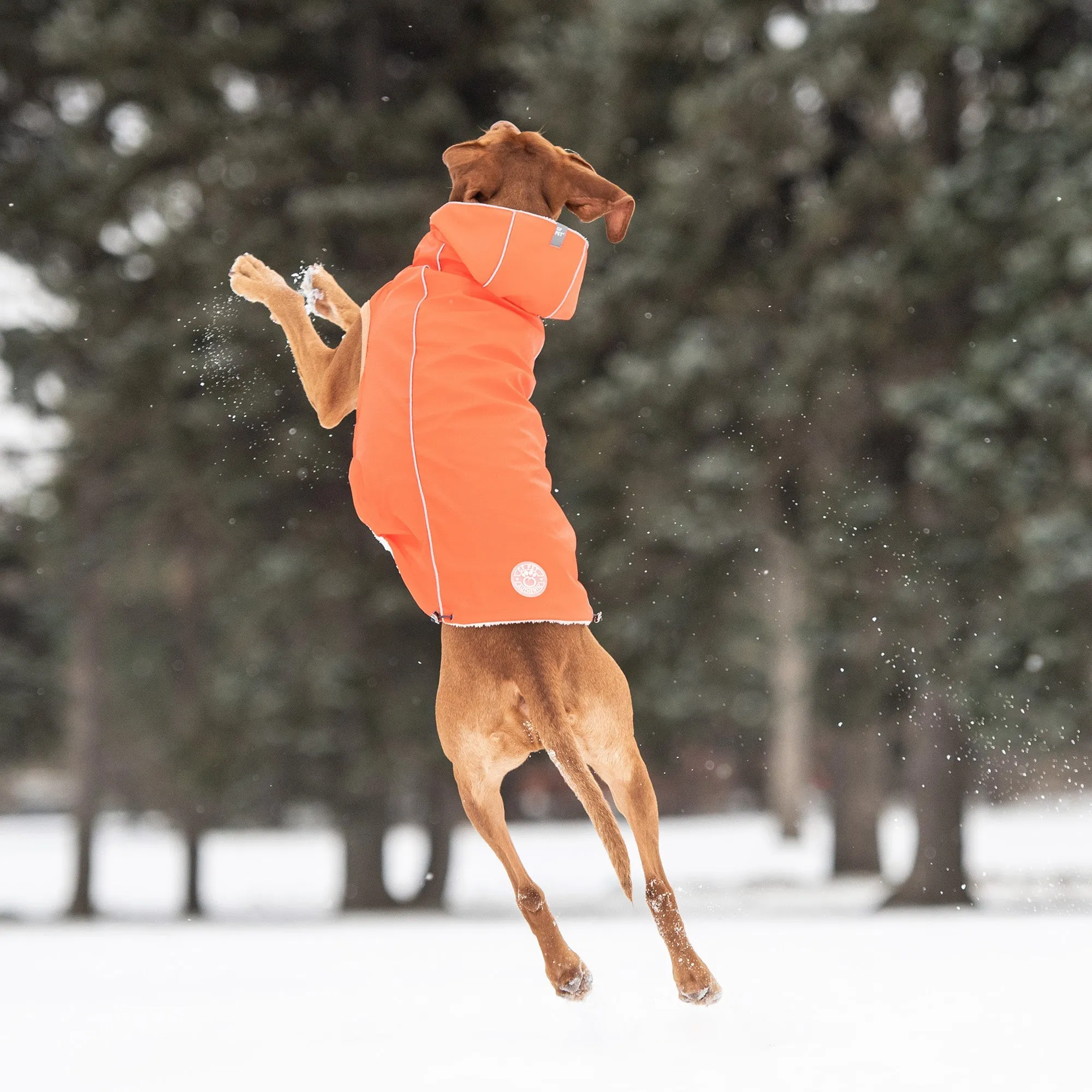 Insulated Raincoat w/ Popcorn Sherpa - Orange