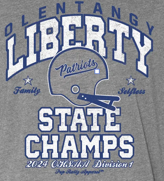 OLENTANGY LIBERTY FOOTBALL STATE CHAMP GRAY HOODIE