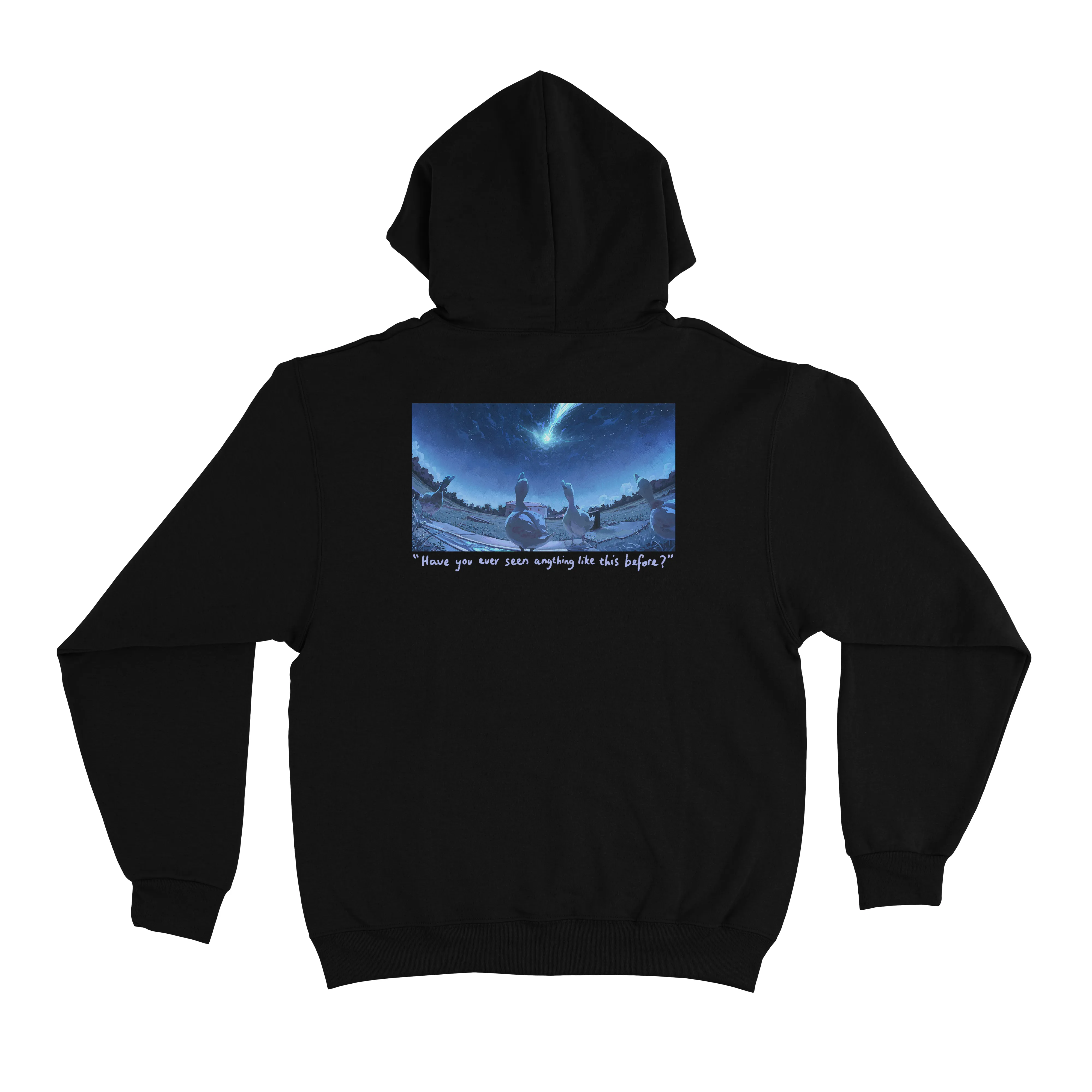 "Meteor Ducks" Basic Hoodie Black