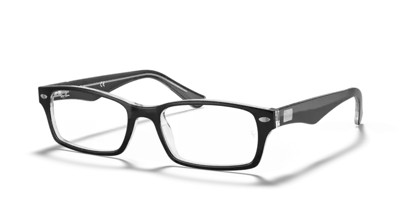 Ray-Ban RX 5206