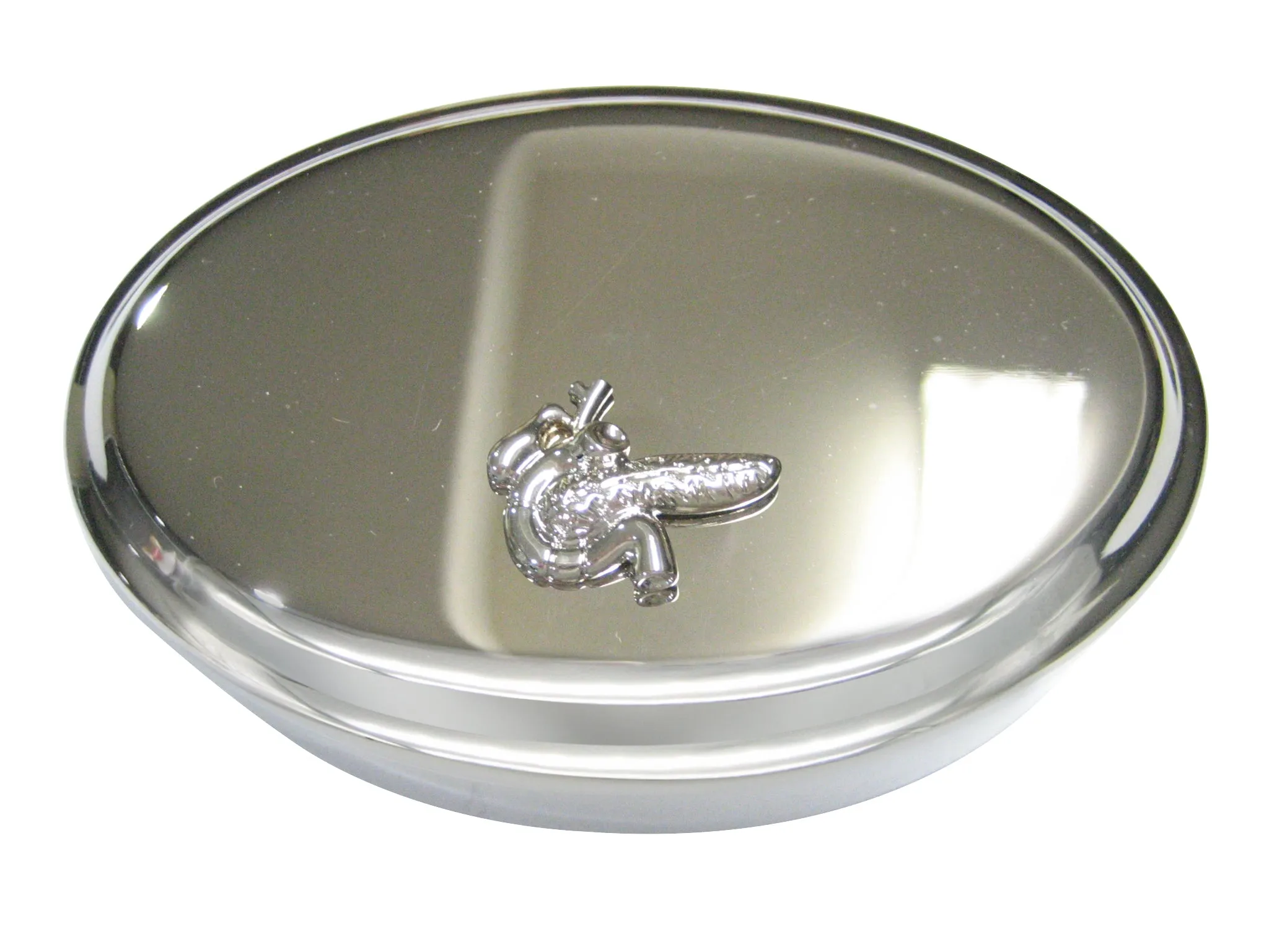 Silver Toned Anatomical Pancreas Oval Trinket Jewelry Box