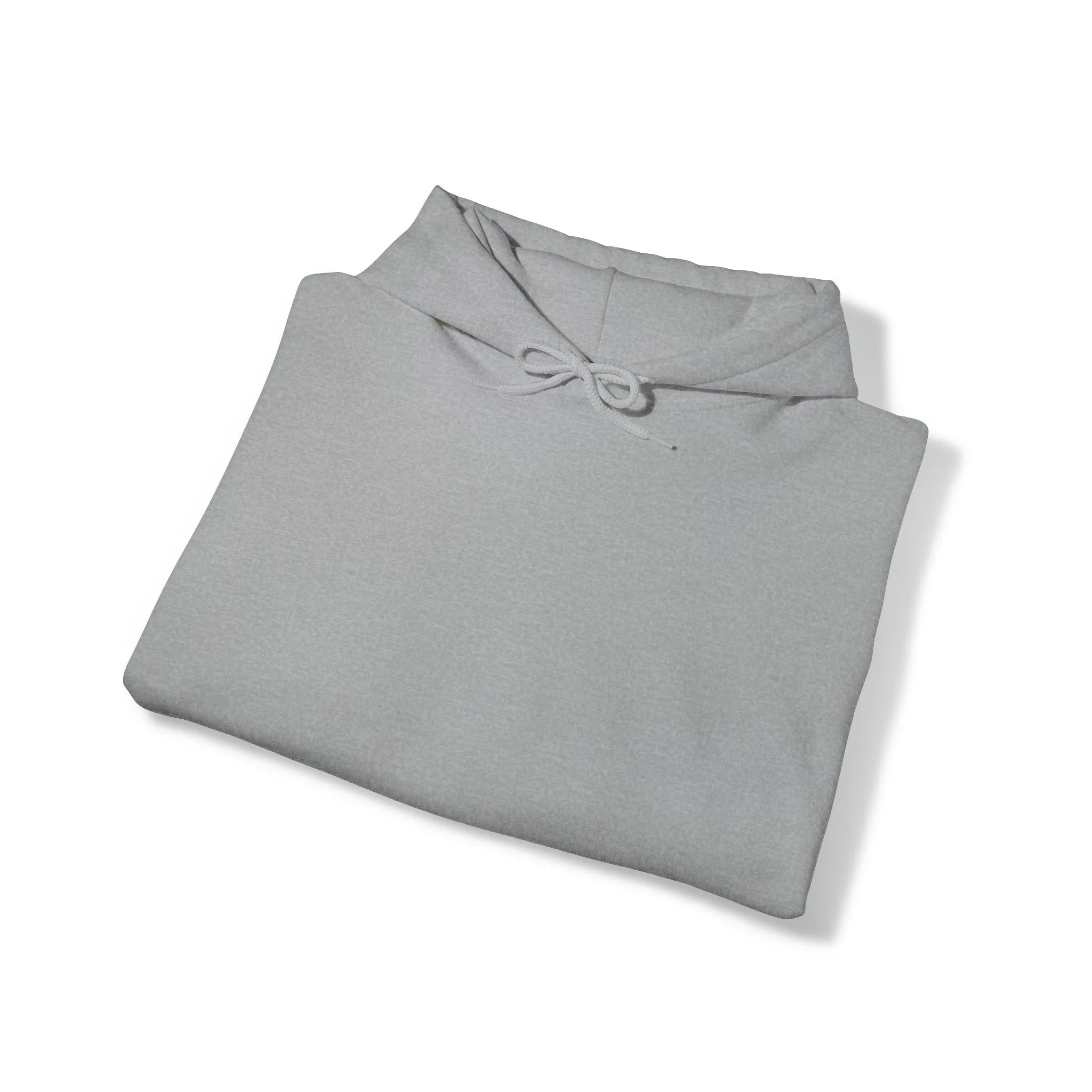 So apparently I have an attitude- Unisex Heavy Blend™ Hooded Sweatshirt