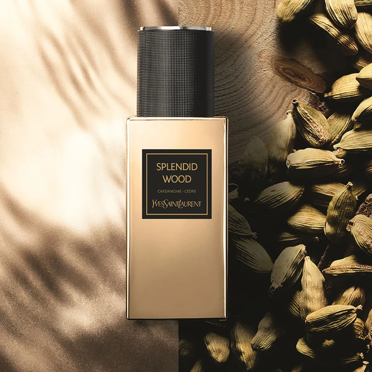 Splendid Wood Eau De Parfum -Le Vestiaire Des Parfums Orientale-125ml
