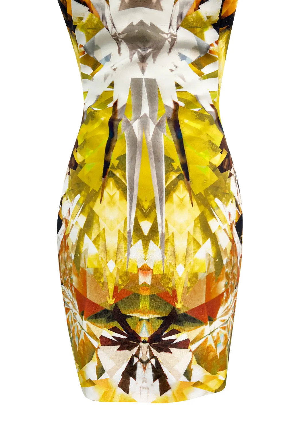 Spring 2009 Alexander McQueen Runway 'Natural Dis-tinctions, Un-Natural Selection' Crystal Print Dress
