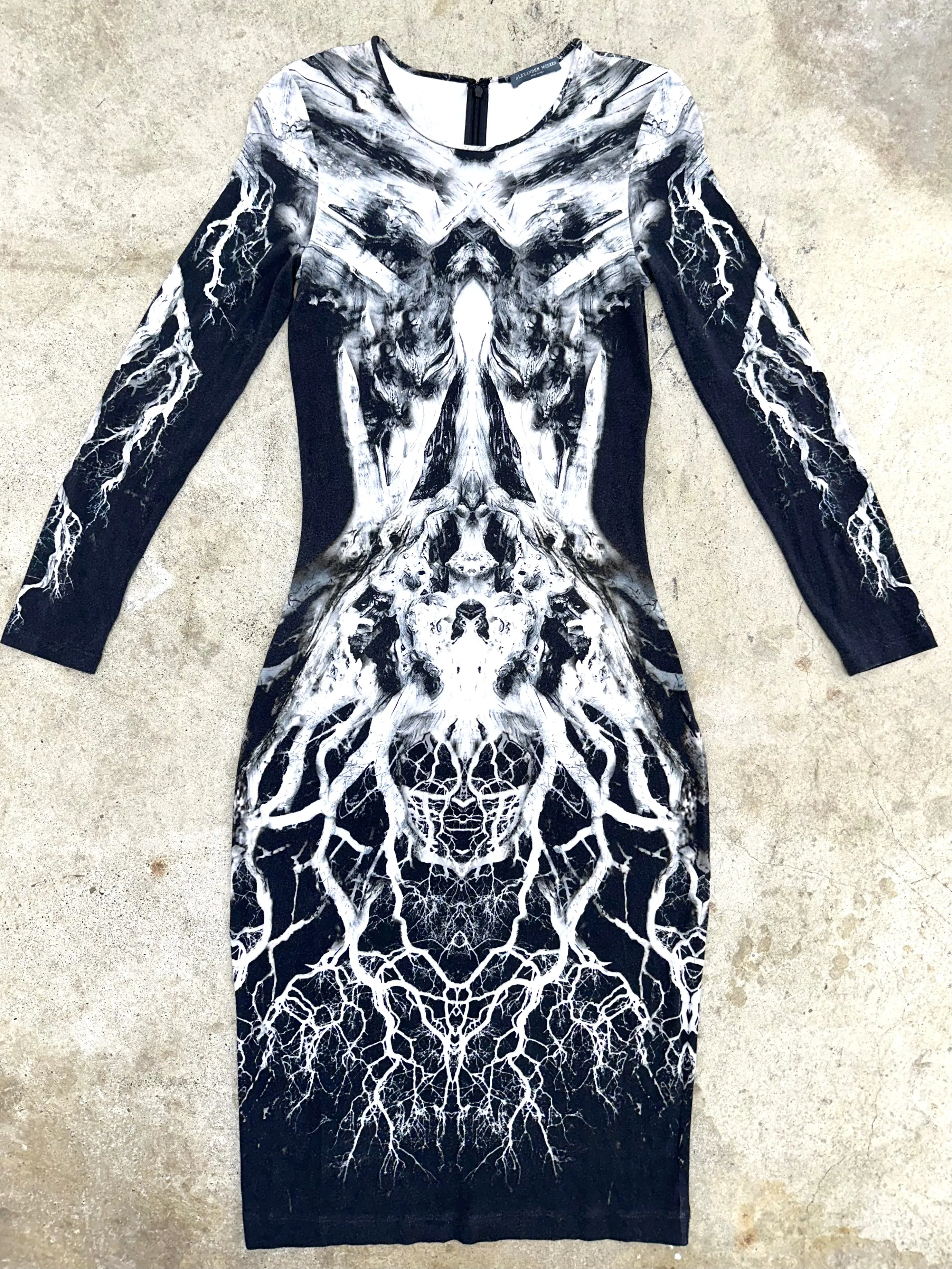 S/S 2009 Alexander McQueen Printed Dress