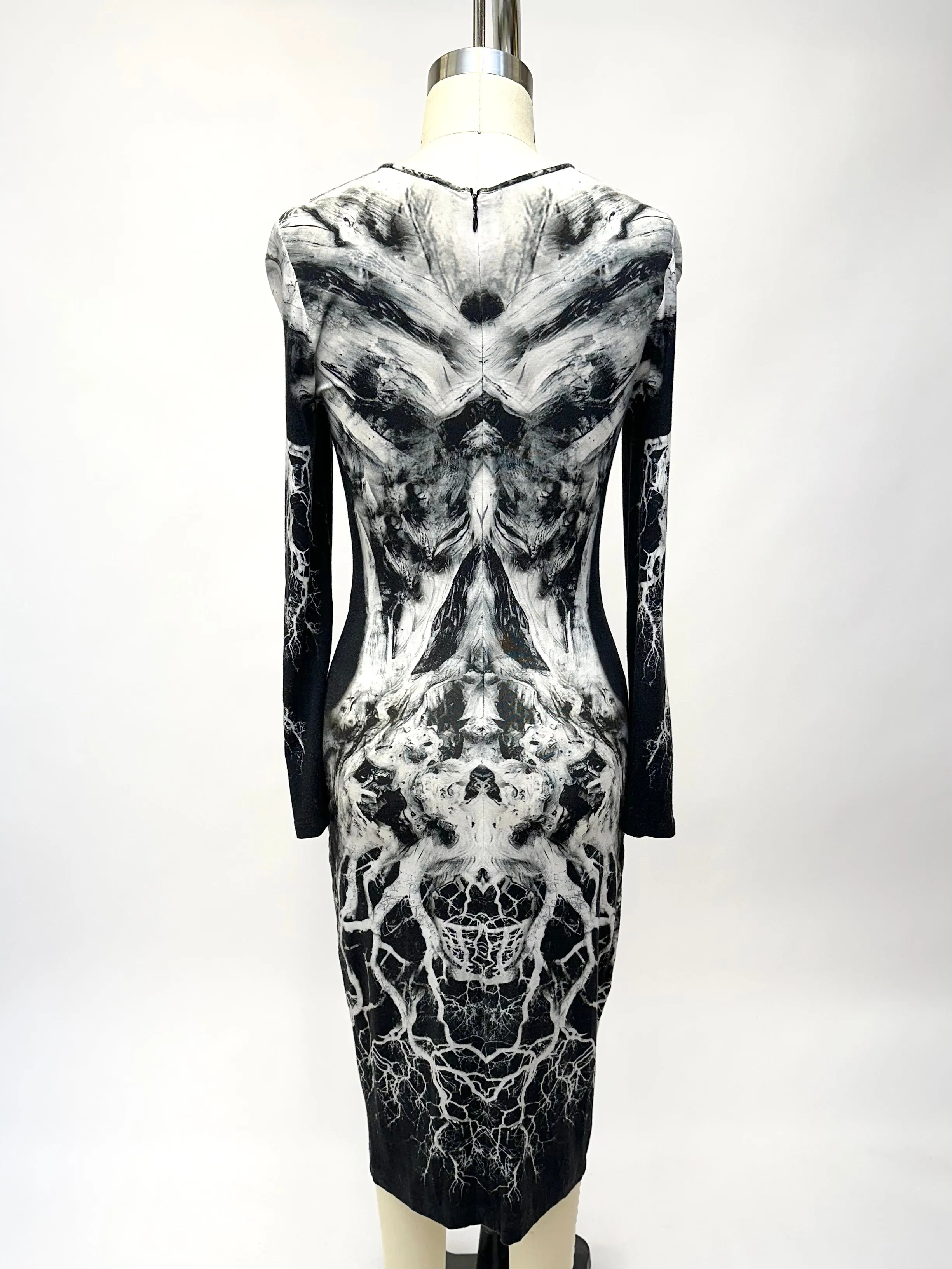 S/S 2009 Alexander McQueen Printed Dress