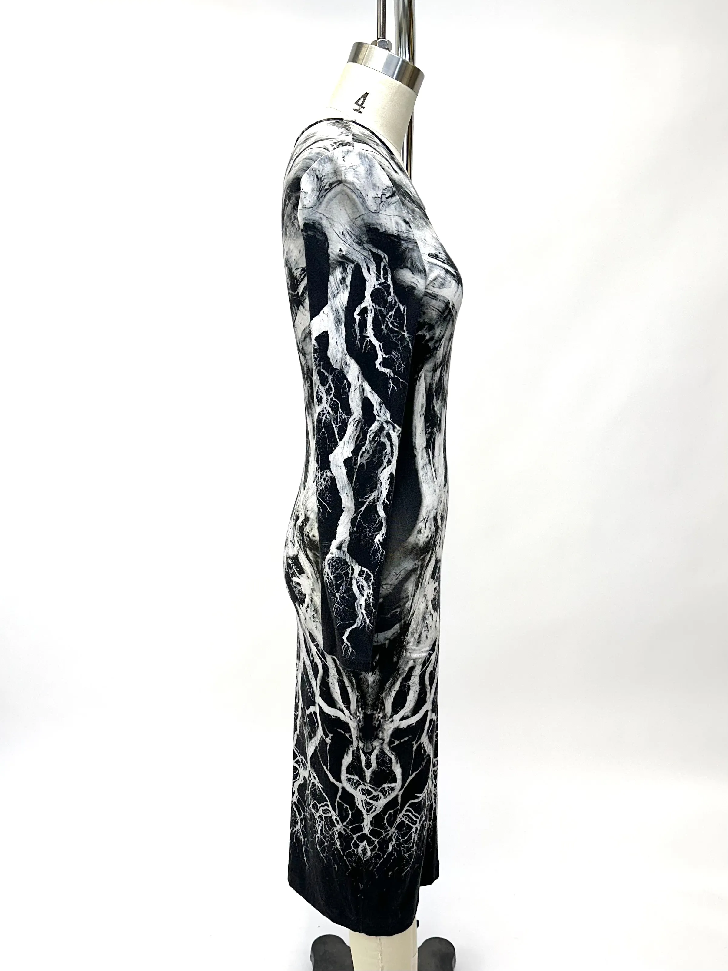 S/S 2009 Alexander McQueen Printed Dress