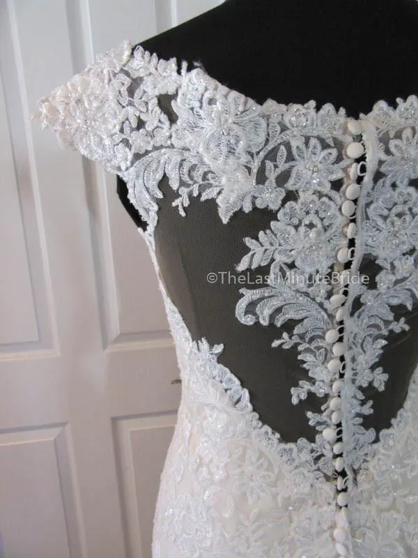 Stella York 6249