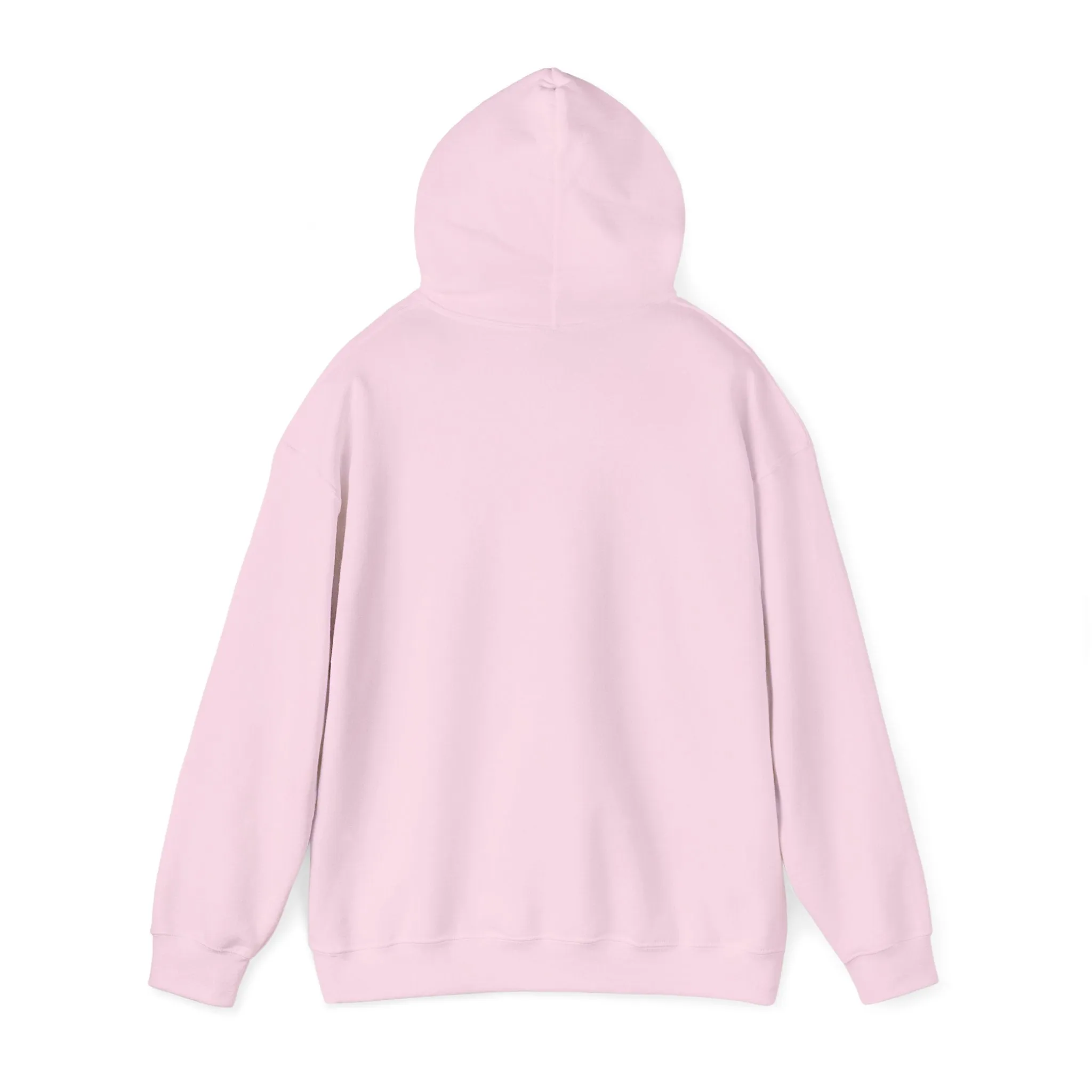 The Fool Hoodie